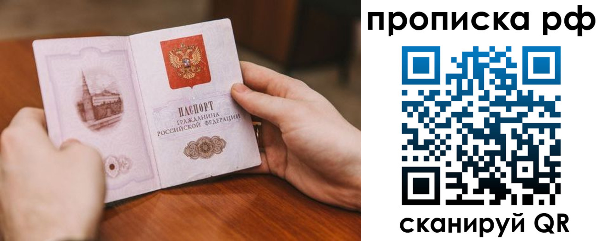 прописка поиск в Полярных Зорях